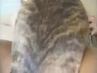 A Dog fucks a Homemade wife on ottoman set